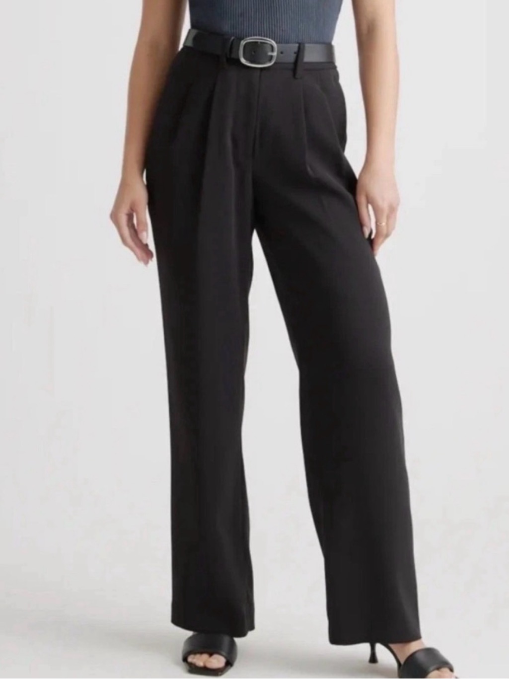 Quince Stretch Crepe Pleated Wide Leg Pant - 14